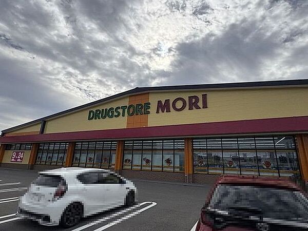 ドラッグストアモリ祓川店 715m