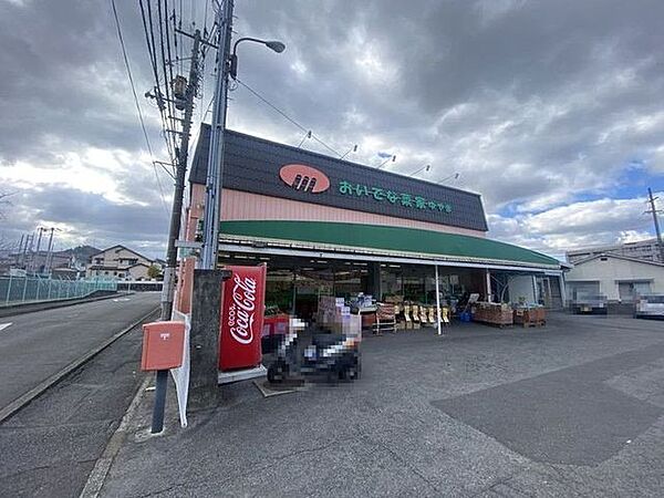 松山生協 おいでな菜家・ゆやま 1380m