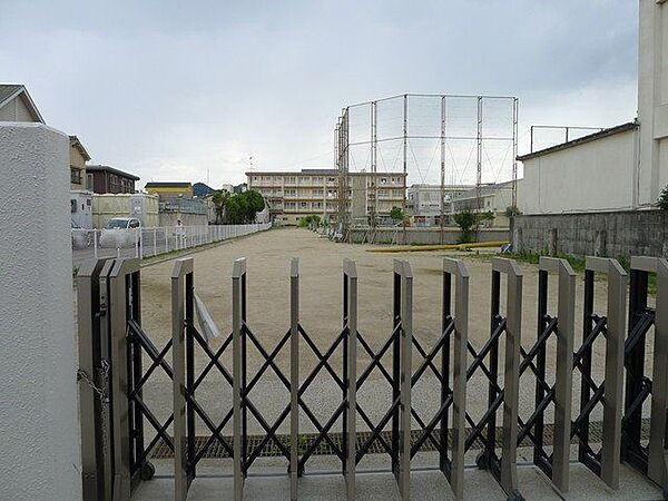 松山市立三津浜小学校 643m