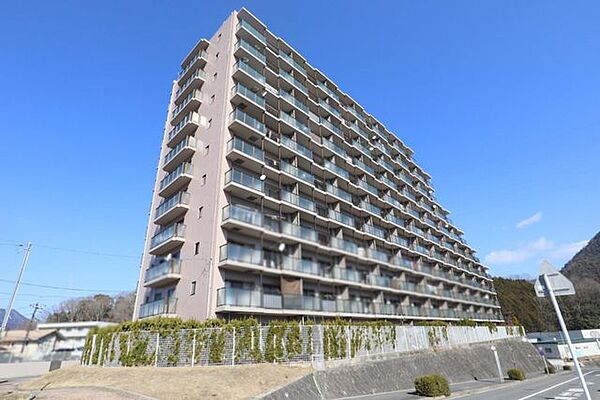 外観：334000233094