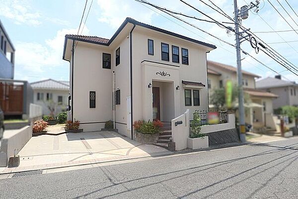 外観：334000233100