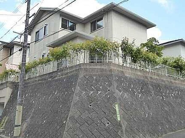 外観：334000261831