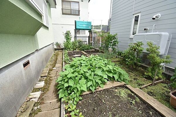 日当たりの良い庭には家庭菜園スペースを用意。自家製野菜作りやガーデニングを気軽に楽しめます。