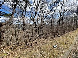 福島県安達郡大玉村玉井字守谷山37-1357