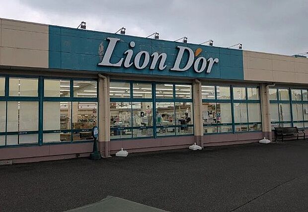 リオンドール矢吹東店 1045m