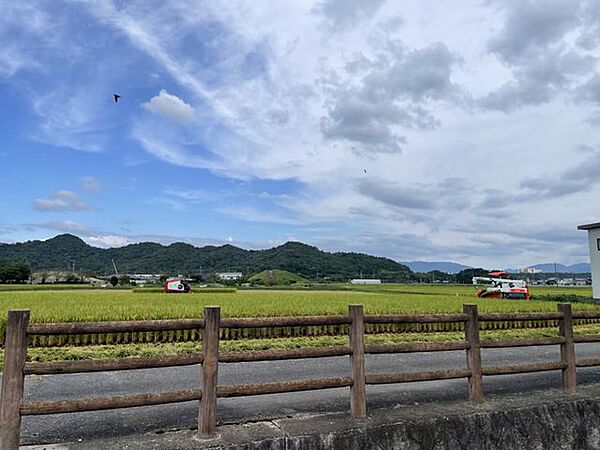 周辺には田園風景が広がる、のどかな住環境です。