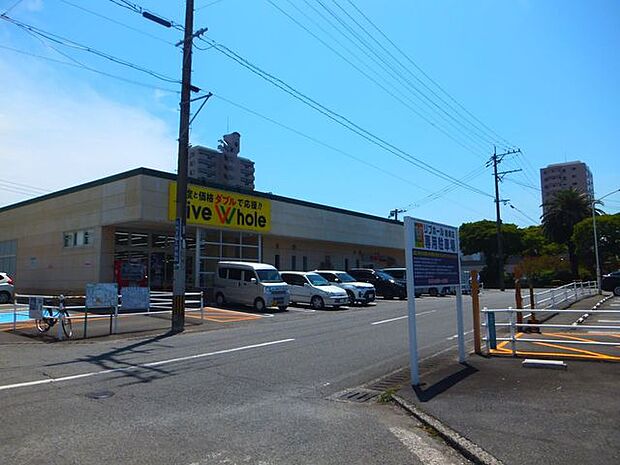 リブホール鶴崎 662m