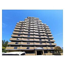 大分県大分市大字三芳1290-1