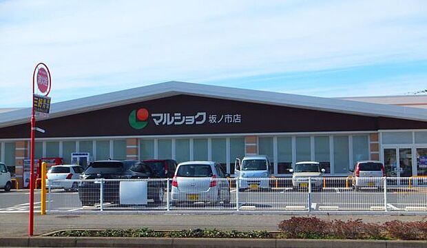 マルショク坂ノ市店 552m