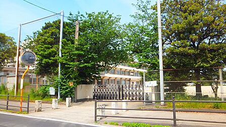 大分市立舞鶴小学校 742m