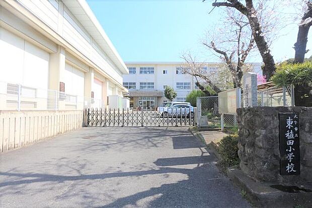大分市立東稙田小学校 1015m