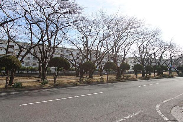 裏川緑地が近くにあり、自然も楽しめます♪