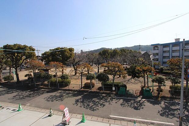 公園が目の前にあるので、四季の移り変わりが楽しめます♪