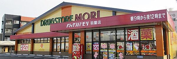 ドラックストアもり羽屋店 381m