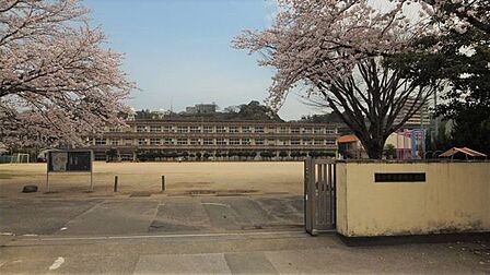 大分市立荏隈小学校 351m