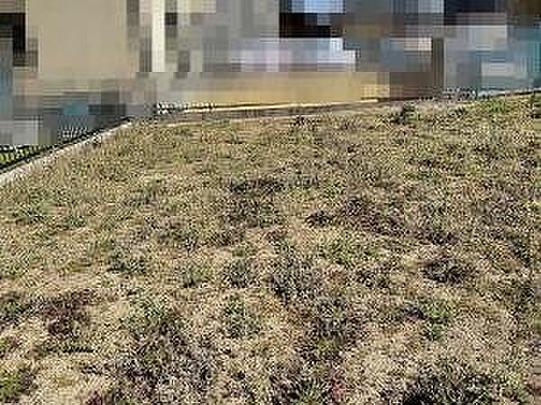 約62坪のゆとりある敷地♪