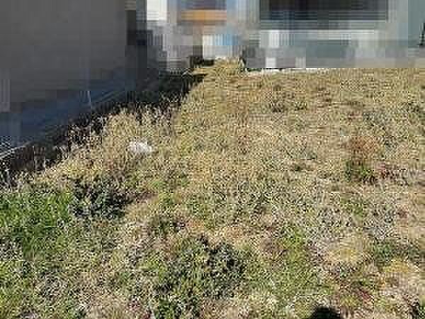 建築条件なしのため、お好きなハウスメーカーで建築可能です◎