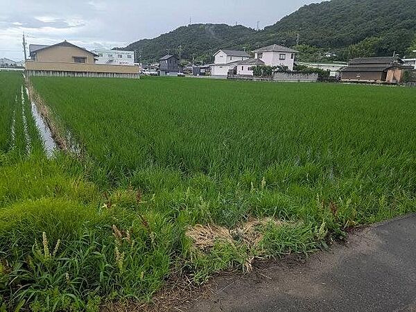 外観：333000052560