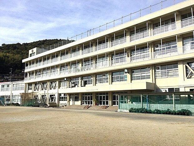 高知市立五台山小学校 2390m