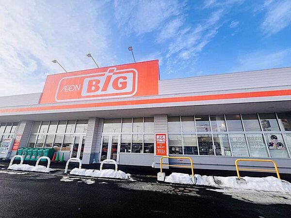 ザ・ビッグ東雁来店 480m