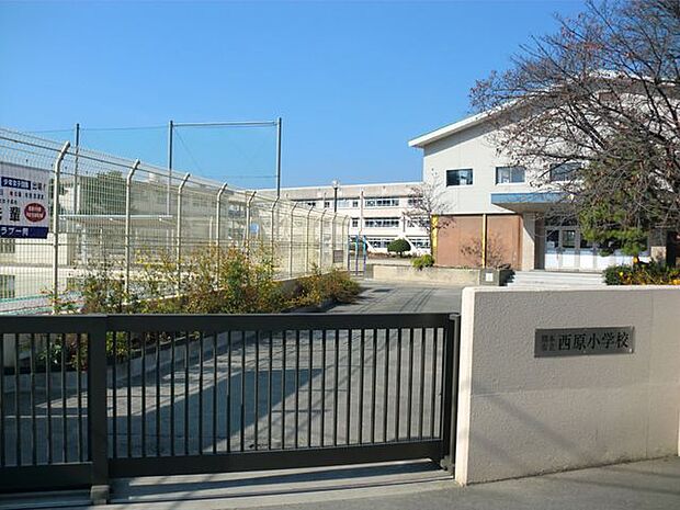 熊本市立西原小学校 1542m