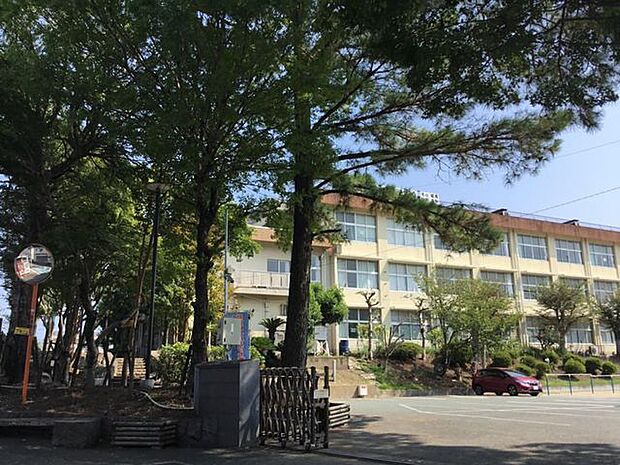 熊本市立花園小学校 1711m