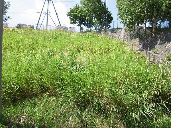 小学校や公園・コンビニ・ドラッグストア等が徒歩圏内にあり、利便性はもちろん子育て環境も良好です。