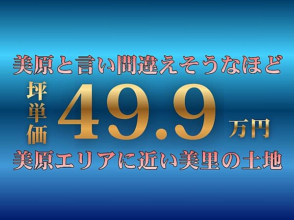 外観：347000070982