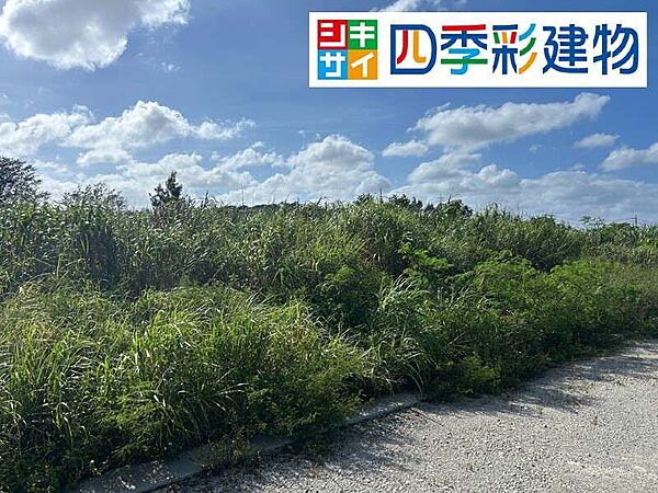外観：347000086975