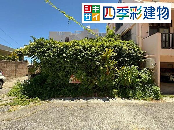 間口付近の様子を確認できます。