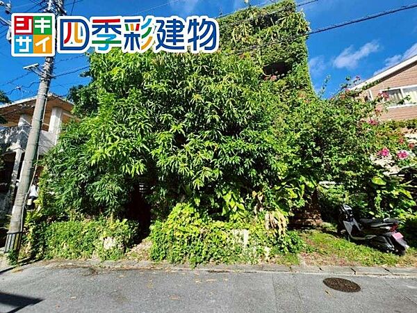 外観：347000067680