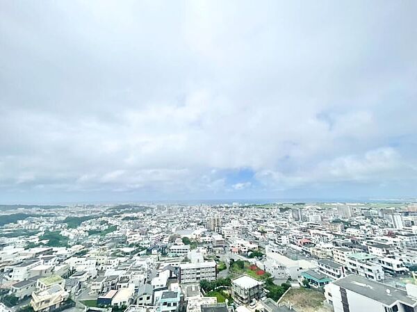外観：347000085113