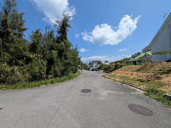 前面道路（南東側）？※現地の樹木は伐採予定