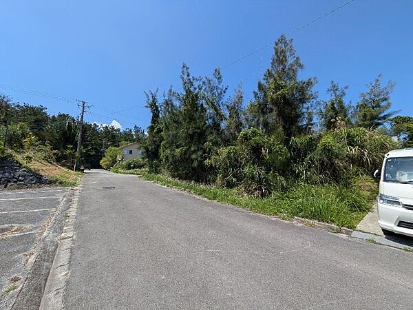 前面道路（南東側）？※現地の樹木は伐採予定