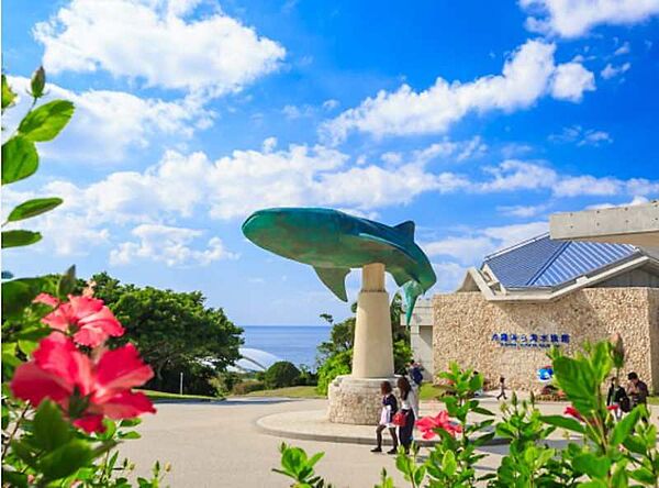 美ら海水族館まで車で3分