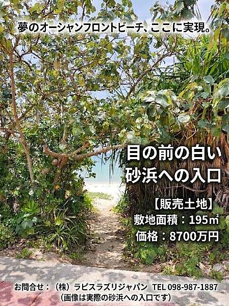 外観：347000080991