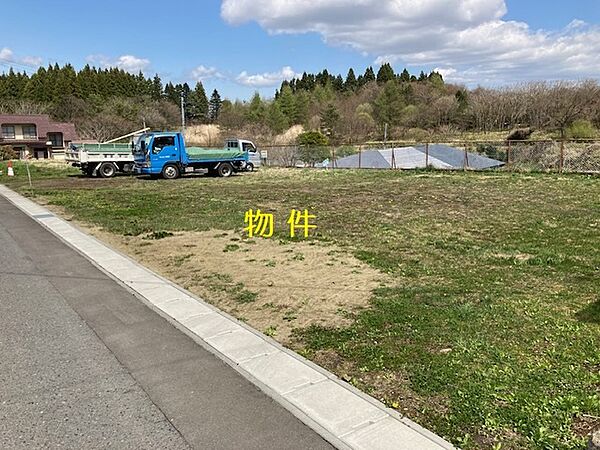 外観：302000007460