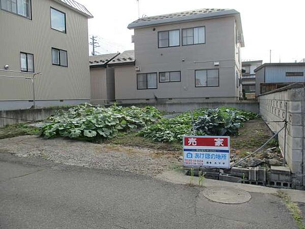 外観：302000009127