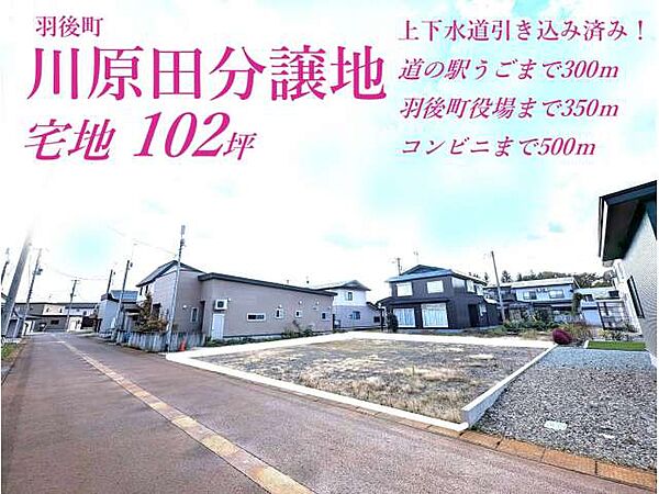 外観：305000008599