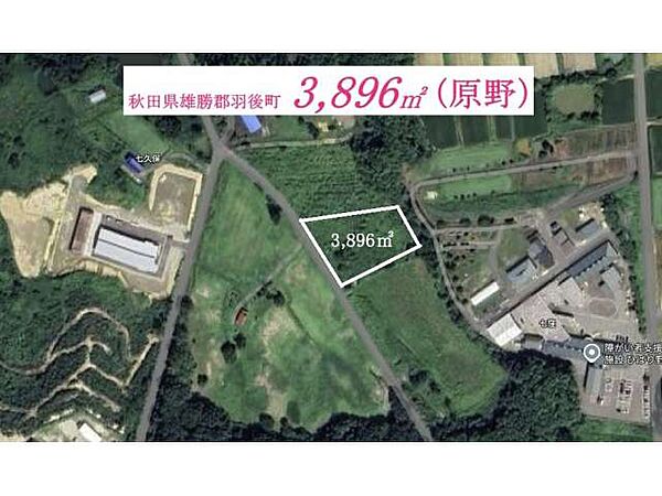 外観：305000008619