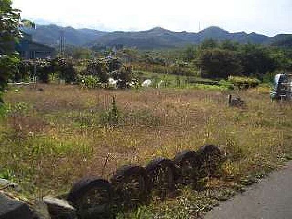 外観：302000010202