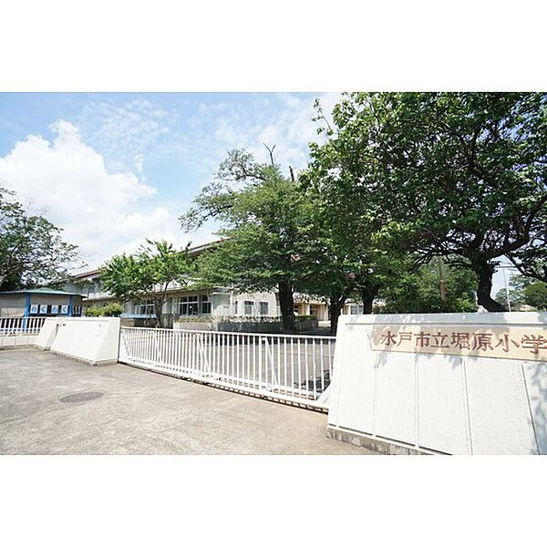 apartment 茨城県水戸市新原2丁目
新原の賃貸情報を見る
物件地図