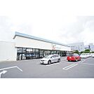 ドラックストア「カワチ薬品新原店まで554ｍ」営業時間 10:00～20:00.