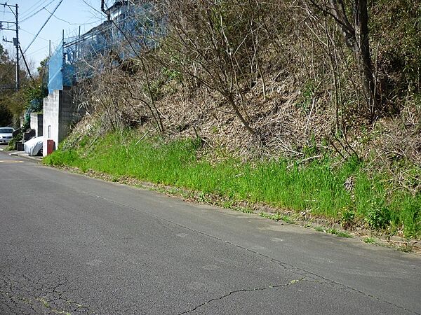 前面道路北側から