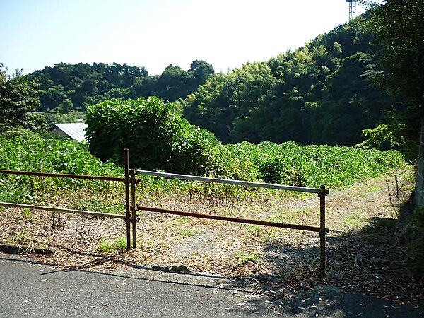 道路より緩やかな南傾斜
