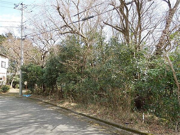 道路からフラットに入れます