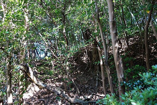 上りの傾斜地で、結構急な傾斜が伺えます