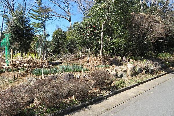 ちょっとだけ高台で平坦部分もある緩やかな傾斜の土地です