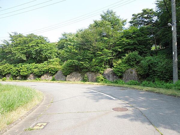 北西側道路と外観
