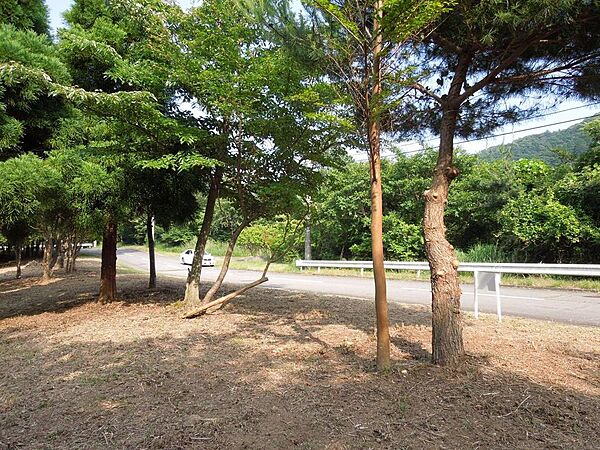 東南側道路から比較的平らな部分から下り傾斜地となります。